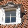 bedrijfsgebouwen Triborgh